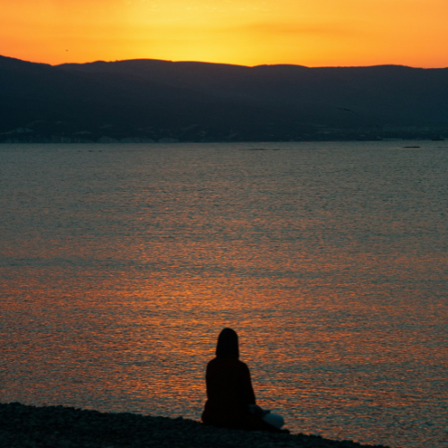 🌴 Living the Code: Peace