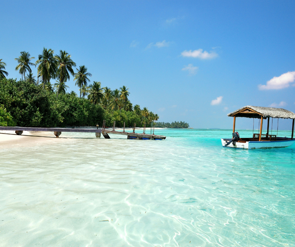 🌺 ISLAND WISDOM | THE LOST DAYS 🌺